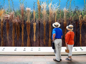 “Exposed: The Secret Life of Roots”