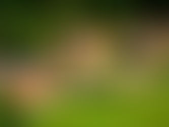 Fostering Connections & Growth at Mottram Hall