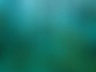 Oyster Farming: Water Quality