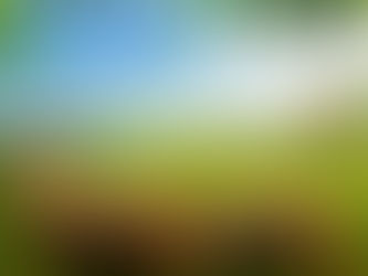 Newago County Michigan Groundwater Summary