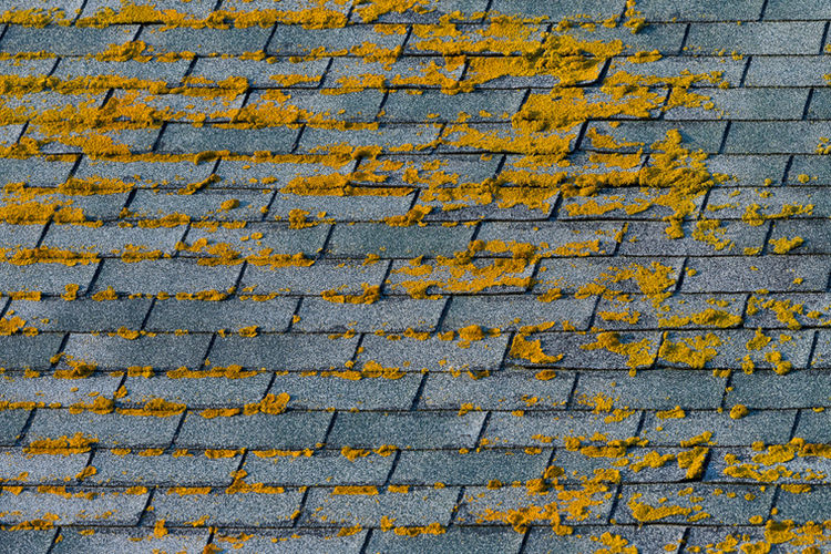 ASPHALT SHINGLES