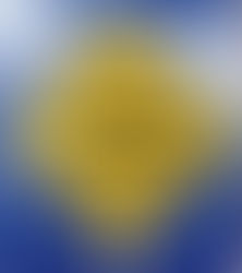 Who is Your Health Care Proxy?