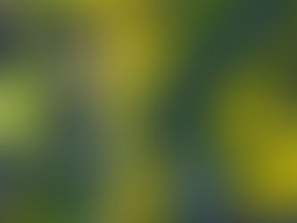 Parshall Flume compared to Venturi meters in Water Treatment System Design