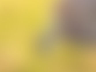 Nanoplastic Removal in Water Treatment