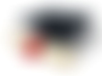 Window Cleaning Training