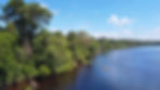 Amazon River