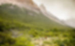 Natural Reserve Los Huemules