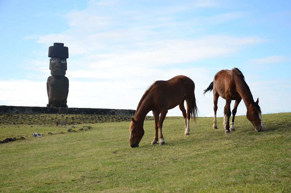 Thumbnail: ハンガロア・エコ・ビレッジ＆スパ