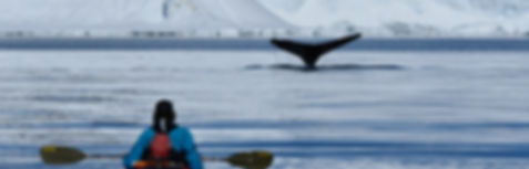 AXXI_CA09-HEB_2016-17_Philip Stone-8822_