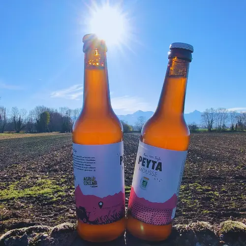 ferme-peyta-biere-livraison-blanche.webp