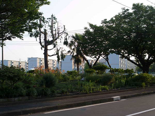 IMGP8440.jpg