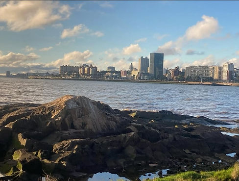 Captura de pantalla 2025-03-20 115834.jpg