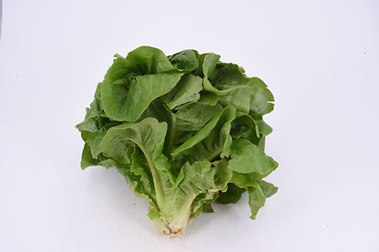 enciamet de sucre PRIOR_013.JPG