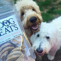 Happy Siblings Waiting for Riker's Dog Treats