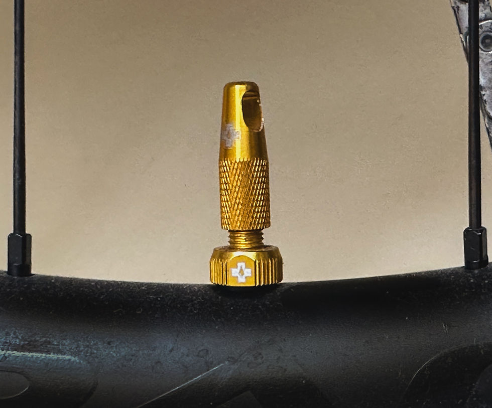 Gold tubeless valve stem for bicycle