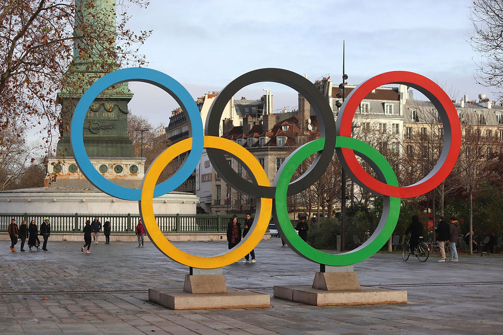 Professional support during the Olympic Games