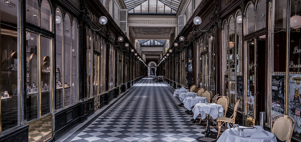 Transfert privé à Paris pour touristes vers hôtel, gare ou lieu touristique, à partir de 70 €, dans une galerie parisienne typique avec cafés et architecture historique
