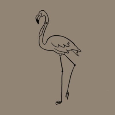 Flamingo con corbata