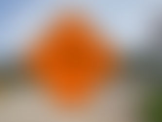 බොරැල්ලේ මාර්ගයක කොටසක් ගිලා බසී