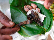 බුලත්විට සමඟ දුම්කොළ විකුණුවොත් වැඩේ වරදී: නීතිය තදින්ම ක්රියාත්මක කිරීමට සැරසෙයි