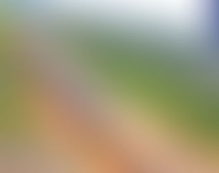 අධිකරණ නියෝගයකින් අධිවේගී මාර්ගය ආසන්නයේ ඇති නිධානයක් සොයා කැණීම් අරඹයි