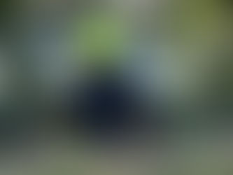 මෙල්බර්න් නුවර ප්රාථමික පාසලකට මෝටර් රථයක් කඩා වැදෙයි