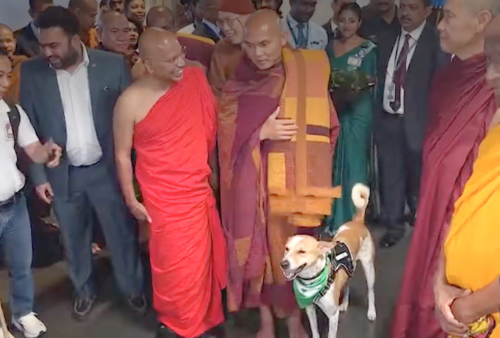 'සාම පාගමන' වෙනුවෙන් භික්ෂූන් වහන්සේලා හත් නමක් අද උදෑසන දිවයිනට