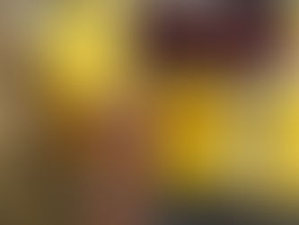 ඉදිරි මාස තුන ඇතුළත වාහන අංක තහඩු මුද්රණය ඇරඹීමට සැලසුම්