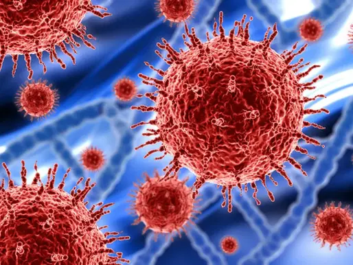 ශීත කාලගුණය නිසා වෛරස් රෝග ව්‍යාප්තියක්