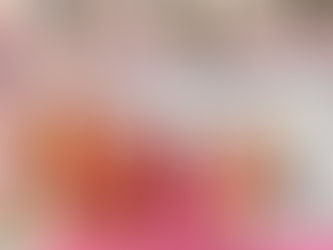 සාම පා ගමන අවසන් කරමින් භික්ෂූන් වහන්සේලා ඇමරිකාව බලා පිටත්ව යයි