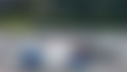 ග්රෙගරි වැවට සී ප්ලේන් යානයක් කඩා වැටෙයි