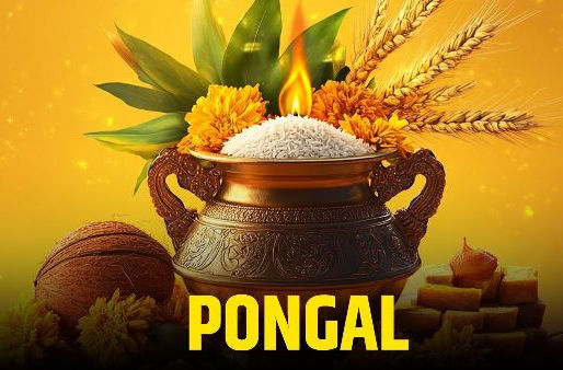 තෛපොංගල් උත්සවය අදයි