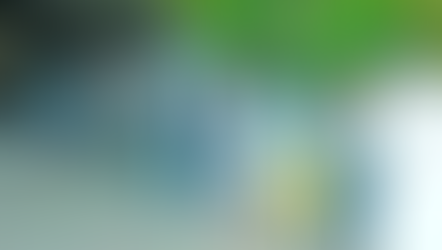 සේවාවන් අත්හිටුවා ඇති පුද්ගලයන් ලියාපදිංචි කිරීමේ දෙපාර්තමේන්තුවේ අදත් පෝලිං