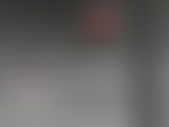 චීන යාත්රාවේ හිතාමතා ගැටුනු පිලිපීන යාත්රාව