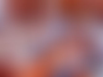 ජනපති හා සුරාබදු දෙපාර්තමේන්තු නිලධාරීන් අතර හමුවක්