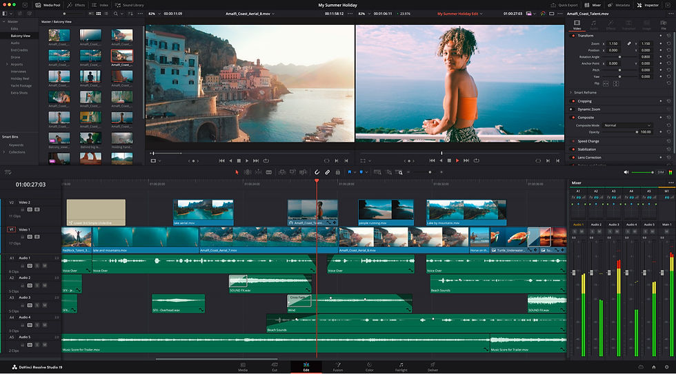 Interfaz Da Vinci resolve