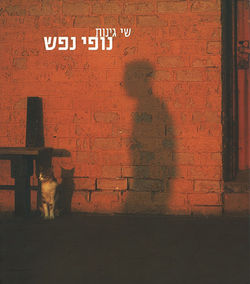 CCC_NofeyNefesh-ShaiGinnot_Schoken