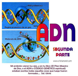 ADN 2