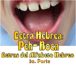 PEH BOCA 3