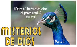 MISTERIOS DE DIOS 4
