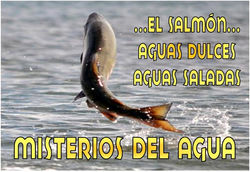 MISTERIOS DEL AGUA 4