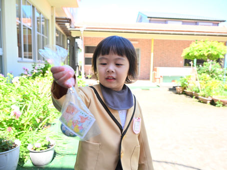 イースターの卵探し