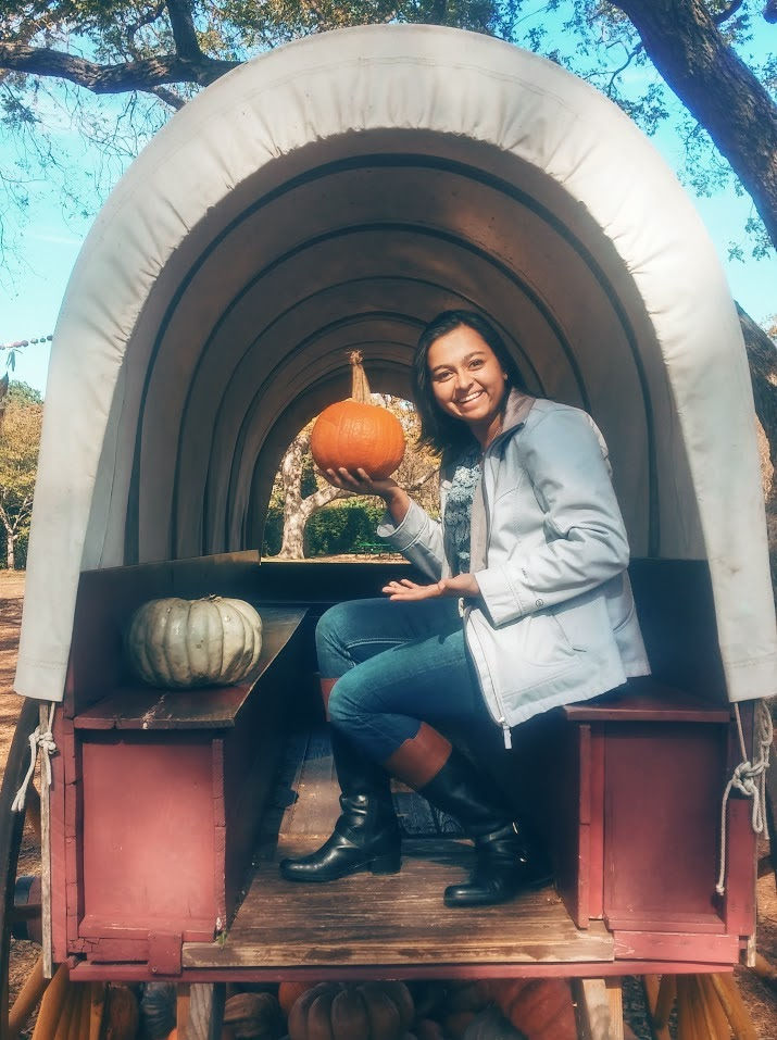 And Here We Begin...