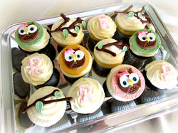 Owl Cupcakes