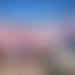 ROOKIE Team and Family