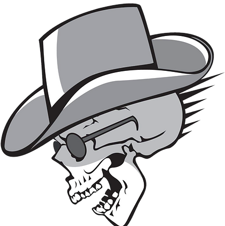 LPI_Logo_Transparent_edited_edited.png