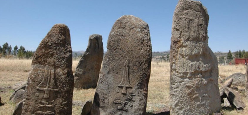 የጢያ ተክል ድንጋይ.jpg