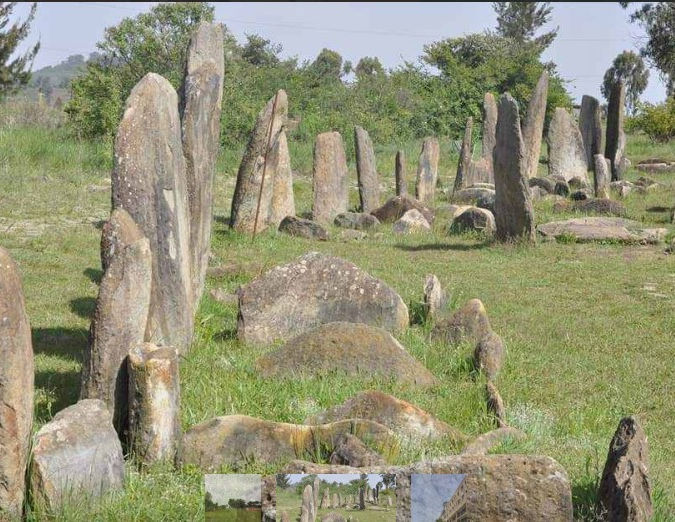 የጢያ ተክል ድንጋይ 2.jpg