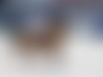 Communiqué : Un nouveau départ pour Beryl des Prés