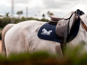 Première fois au Sunshine Tour avec une grande partie de l'écurie